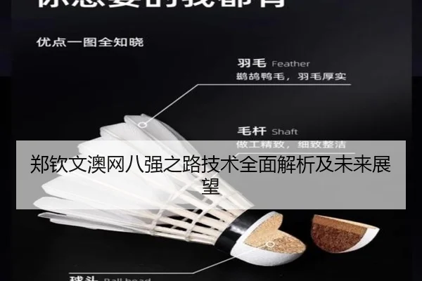 郑钦文澳网八强之路技术全面解析及未来展望